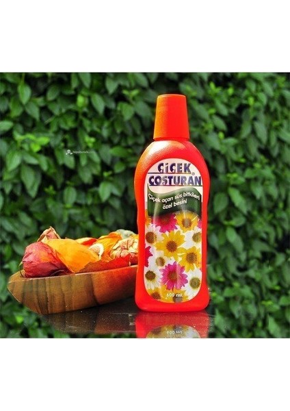 Çiçek Coşturan Çiçek Açan Süs Bitkileri İçin(Lisinya)