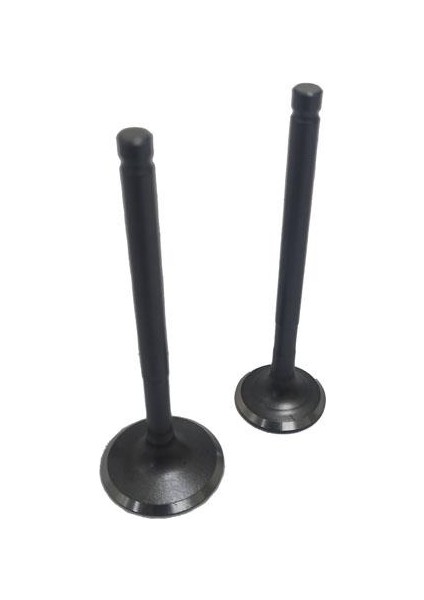 Subap Takımı Actıva Teneke - Arora Specıal-Alfa [vtc]