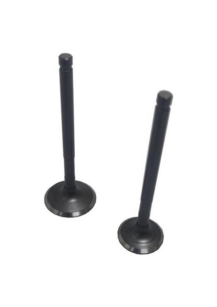 Subap Takımı Actıva Teneke - Arora Specıal-Alfa [vtc] fiyatları