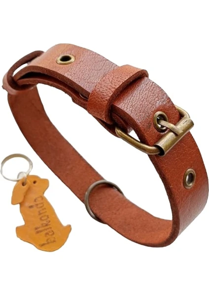 Köpek boyun tasması hakiki deri kalınlık:4 mm genişlik:2,5cm boyun ölçüsü:S.27-35cm ayarlamalı dog collar T1-2S