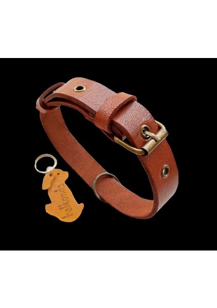 Köpek boyun tasması hakiki deri kalınlık:4 mm genişlik:2,5cm boyun ölçüsü:S.27-35cm ayarlamalı dog collar T1-2S