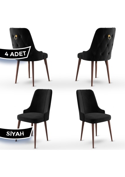 Concept Enoa Serisi , 4 Adet Sandalye, Ceviz Gürgen Ayak