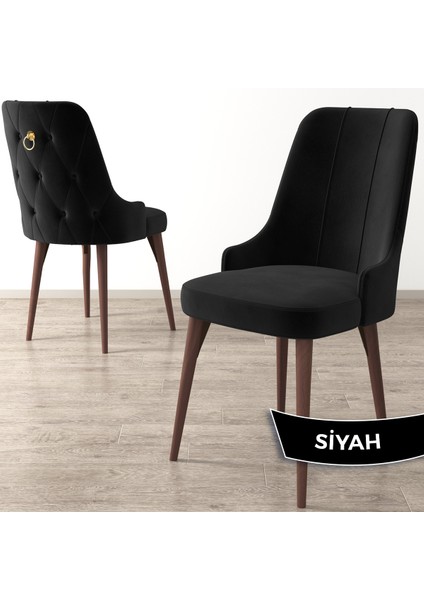 Concept Enoa Serisi , 4 Adet Sandalye, Ceviz Gürgen Ayak