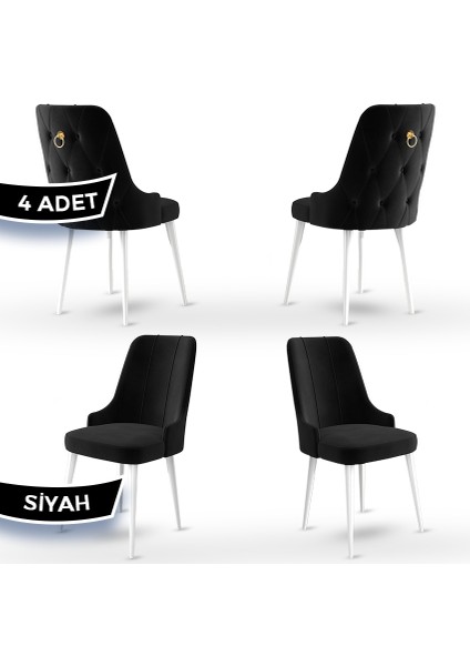 Concept Enoa Serisi , 4 Adet Sandalye, Beyaz Gürgen Ayak