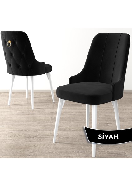 Concept Enoa Serisi , 4 Adet Sandalye, Beyaz Gürgen Ayak