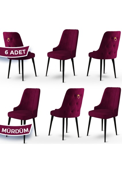 Concept Enoa Serisi , 6 Adet Sandalye, Siyah Gürgen Ayak