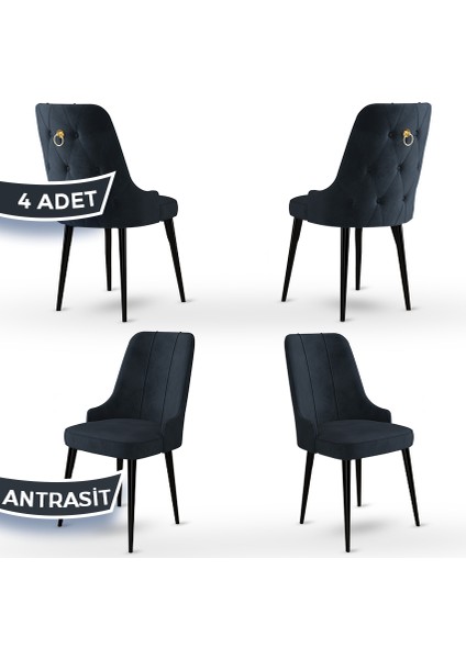 Concept Enoa Serisi , 4 Adet Sandalye, Siyah Gürgen Ayak