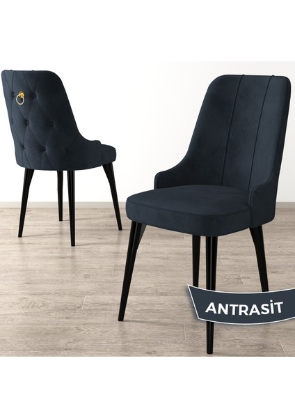 Concept Enoa Serisi , 4 Adet Sandalye, Siyah Gürgen Ayak