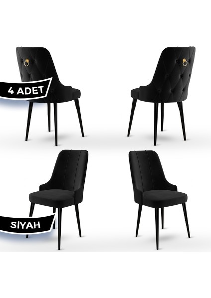 Concept Enoa Serisi , 4 Adet Sandalye, Siyah Gürgen Ayak