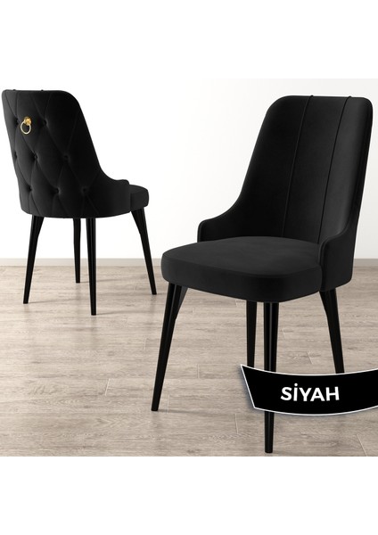 Concept Enoa Serisi , 4 Adet Sandalye, Siyah Gürgen Ayak