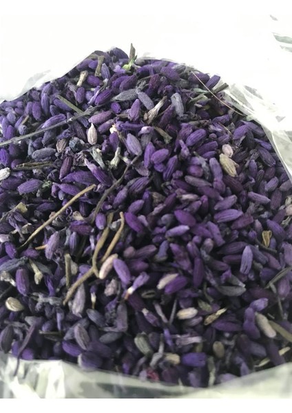 Doğal Lavanta Kurusu Özel Üretim Boyanmış Mor 1 Kğ
