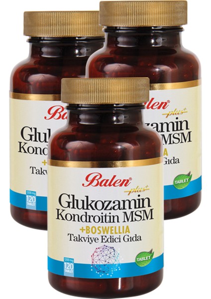 3 Kutu Balen Glukozamin Kondroitin Msm Boswellia Akgünlük Glukosamin Bosvelya 120 Tablet x 1200 Mgx3