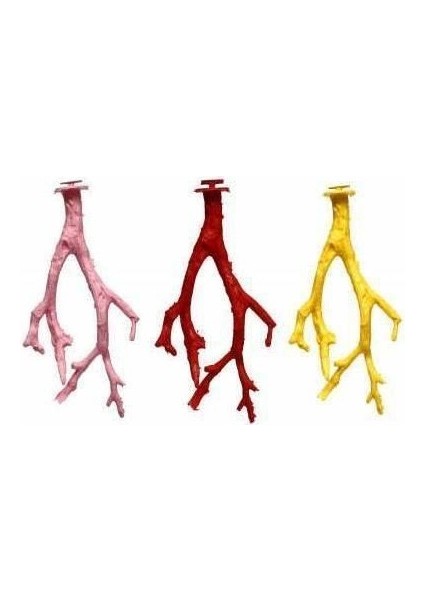 Kafes Kuşları Için Plastik Dal Tünek