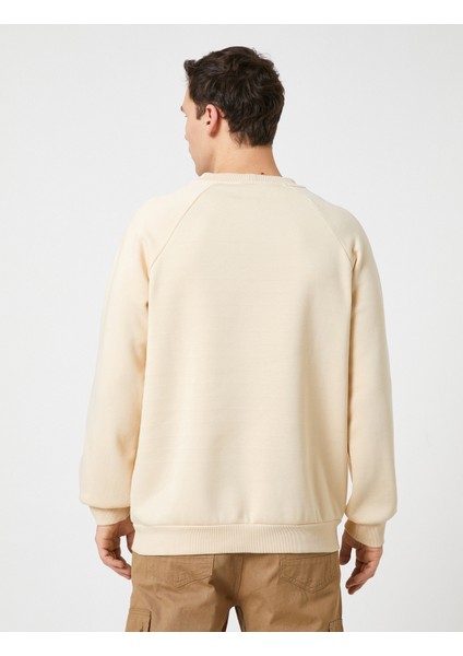 Bisiklet Yaka Sweatshirt Dikiş Detaylı Reglan Kol fırsatları