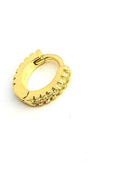 Zirkon Taş Detaylı 925 Ayar Gümüş Üzerine Altın Kaplama Halka Piercing fiyatları