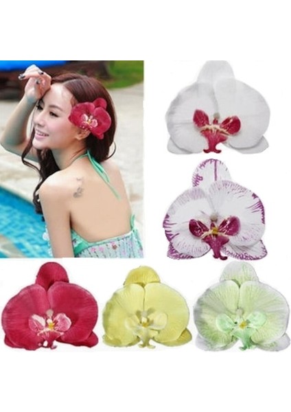 25 Adet Karışık Renk Phalaenopsis Tohumu + 10 Adet K.renk Gül Tohumu