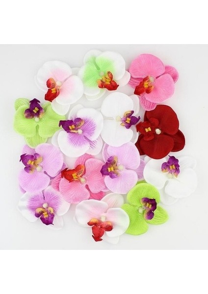 50 Adet Karışık Renk Phalaenopsis Tohumu + 10 Adet Süs Yoncası Tohumu