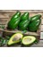 Avokado 1