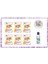 6 Adet Konserve Sir Agda Naturel 800ML+25MT Ağda BEZİ+125ML Yağ 1