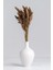 10 Adet Pampas Natural Pampas 100CM 2
