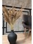 10 Adet Pampas Natural Pampas 100CM 3