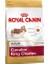 Cavalier King Charles Yetişkin Köpek Mamasi 1,5 kg 1