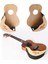 Pratik Ukulele Uke Ekran Duvar Montaj Müzik Mağazası Okulu Için Standı Rafı Sol (Yurt Dışından) 3