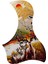 Akustik Guar Pickguard Elk Desen Müzikal Parçaları, (Yurt Dışından) 4