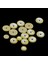 6xflute Pedler 16PCS Sarı Renk 6 Adet (Yurt Dışından) 5