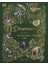 Dinosaurs And Other Prehistoric Life 9