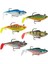 Wildeye Rippin Swim Shad Sahte Balığı Bsd-8cm - 3lu 1