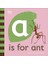 A Is For Ant 1