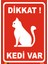 Dikkat Kedi Var 1