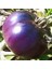 100 Adet Doğal Mor Domates Tohumu + 10 Adet Süs Yoncası Çiçek Tohumu 1