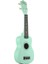 RU002 Soprano Ukulele Yeşil Kılıf Pena 1