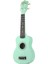 RU002 Soprano Ukulele Yeşil Kılıf Pena 3