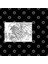 The Winged Dragon Of Ra Kupa 3