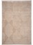 Pier PR03 Beige Iskandinav Desenli Modern Salon Halısı 2