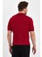 Kırmızı Erkek Polo Yaka Çizgili Triko T-SHIRT-TRZ19109R02S 5