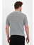 Gri Erkek Polo Yaka Çizgili Triko T-SHIRT-TRZ19124R01S 5
