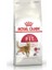 Fit 32 Yetişkin Kedi Maması 2 kg 1