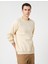 Bisiklet Yaka Sweatshirt Dikiş Detaylı Reglan Kol 1
