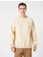 Bisiklet Yaka Sweatshirt Dikiş Detaylı Reglan Kol 3
