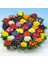 100 Adet Karışık Renk Çiçek Primula Flower Tohumu + 10 Adet Süs Yoncası Çiçek Tohumu 1