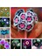 10 Adet Karışık Renk Çiçek Primula Flower Tohumu + 10 Adet Süs Yoncası Çiçek Tohumu 1