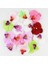 50 Adet Karışık Renk Phalaenopsis Tohumu + 10 Adet Süs Yoncası Tohumu 1