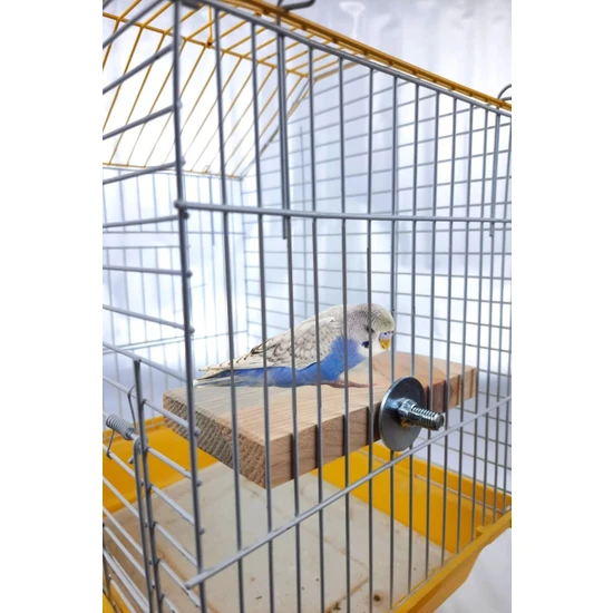 Alyones Set Papağan Muhabbet Kuşu Standı Dikdörtgen Kafes Rafı