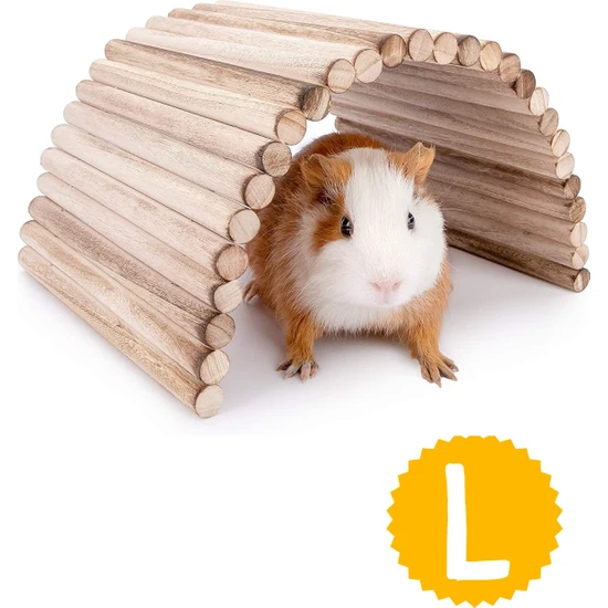 Alyones (40 cm x 20 cm Hamster Gerbil Fare Sıçan Gine Domuzu Veya Diğer Küçük Hayvanlar Için Köprü Merdiveni