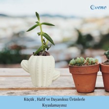 Evene Mini Çiçek Saksı Küçük Sukulent Kaktüs Saksısı Kaktüs Figür Model