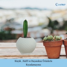 Evene Mini Çiçek Saksı Küçük Sukulent Kaktüs Saksısı Ince Çizgili Spiral Model